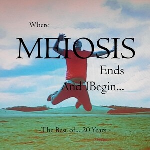 Where Meiosis Ends And I Begin The Best Of Years Of Meiosis Song Download Where Meiosis Ends And I Begin The Best Of Years Of Meiosis Mp3 Song Download
