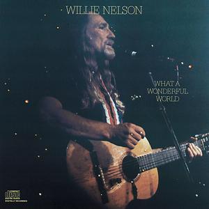 What a Wonderful World Song What a Wonderful World