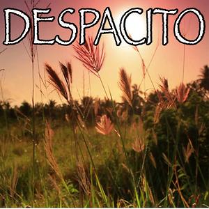 Despacito Tribute To Luis Fonsi And Daddy Yankee And Justin