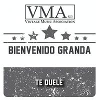 Historia Musical — álbum de Bienvenido Granda — Apple Music