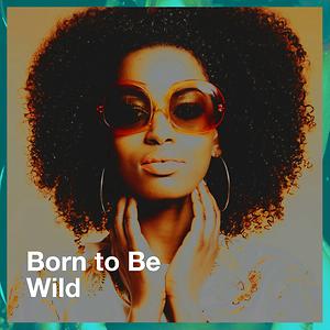 Little Boxes Song Little Boxes Mp3 Download Little Boxes Free Online Born To Be Wild Songs 19 Hungama