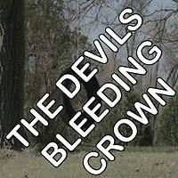 volbeat the devils bleeding crown mp3 download