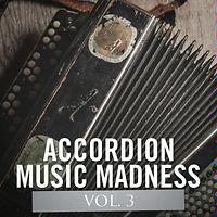 what type of accordion is used in french cafe music