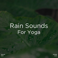 Rain Sounds To Sleep Mp3 Song Download Rain Sounds To Sleep Song By Meditation Rain Sounds Rain Sounds To Sleep Songs 21 Hungama