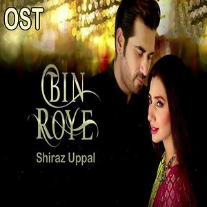 bin roye full film download