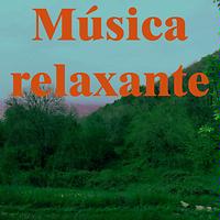 Musica Relaxante Songs Download Musica Relaxante New Songs List Best All Mp3 Free Online Hungama