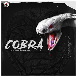 Cobra Songs Download, MP3 Song Download Free Online - Hungama.com