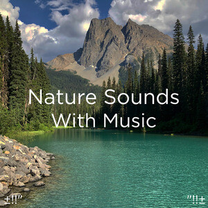Nature Sounds With Music Download | Nature Sounds With Music MP3 Song Download Free Online: Songs - Hungama.com