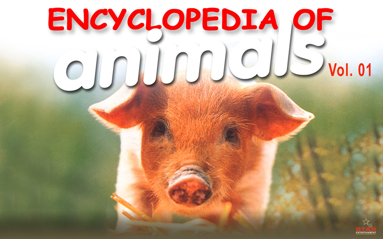 Encyclopedia Of Animals 01 English Movie Full Download - Watch Encyclopedia  Of Animals 01 English Movie online & HD Movies in English