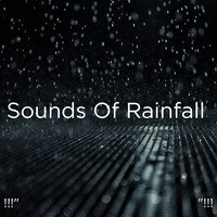 휴식을 취할 수있는 사운드를 비 Mp3 Song Download 휴식을 취할 수있는 사운드를 비 Song By Rain Sounds 휴식을 취할 수있는 사운드를 비 Songs 21 Hungama