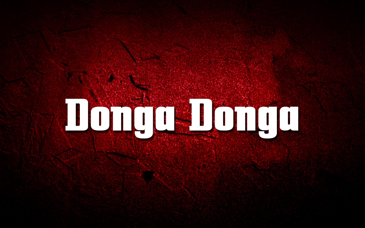 Donga Donga