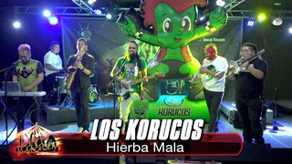 LOS KORUCOS Video Song Download | New HD Video Songs - Hungama