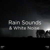 수면 비 소리 Song 수면 비 소리 Mp3 Download 수면 비 소리 Free Online Rain Sounds White Noise Songs 21 Hungama
