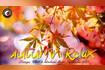 Autumn Relax | Lounge, Chill & Ambient Music September 2023 | Background Music for Relax Video Song
