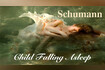 Schumann Scenes from Childhood op. 15 n. 12 