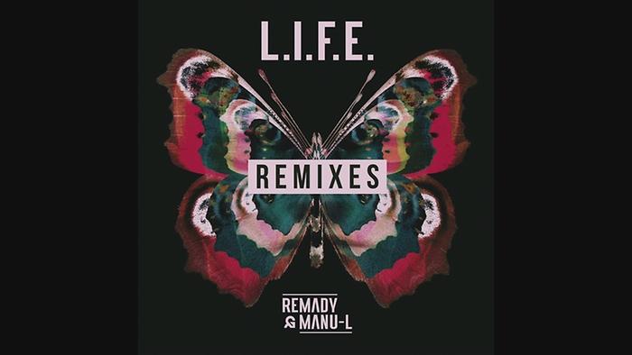 LIFE BEFORE WE GO Remix