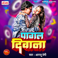 deewana songs mp3 download songspk pagalworld