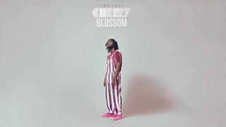 Cherry Blossom Audio